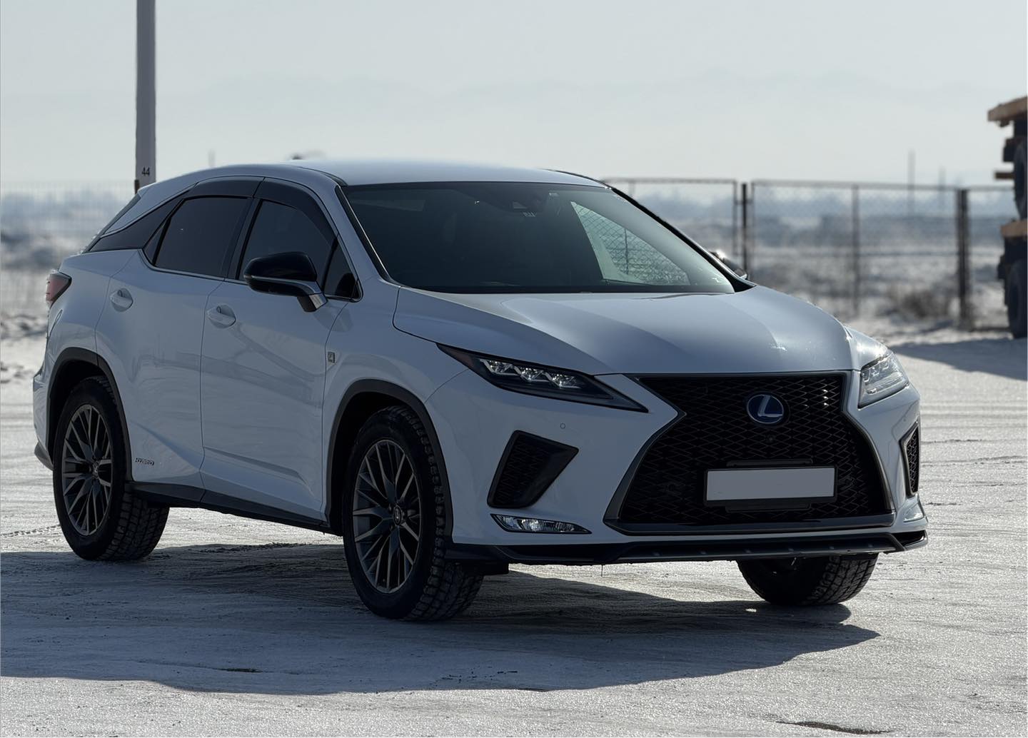 2019 LEXUS RX450h
